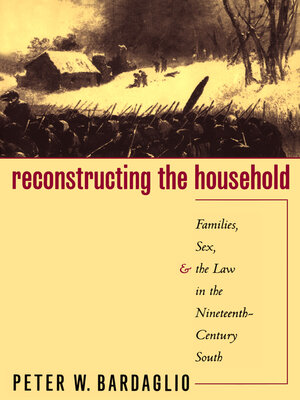 cover image of Reconstructing the Household